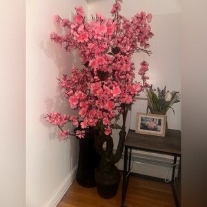 Beautiful cherry blossom tree